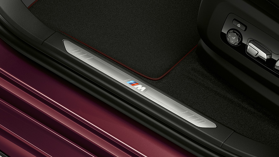 BMW Individual door sill BMW X6 Individual G06 2019 close-up